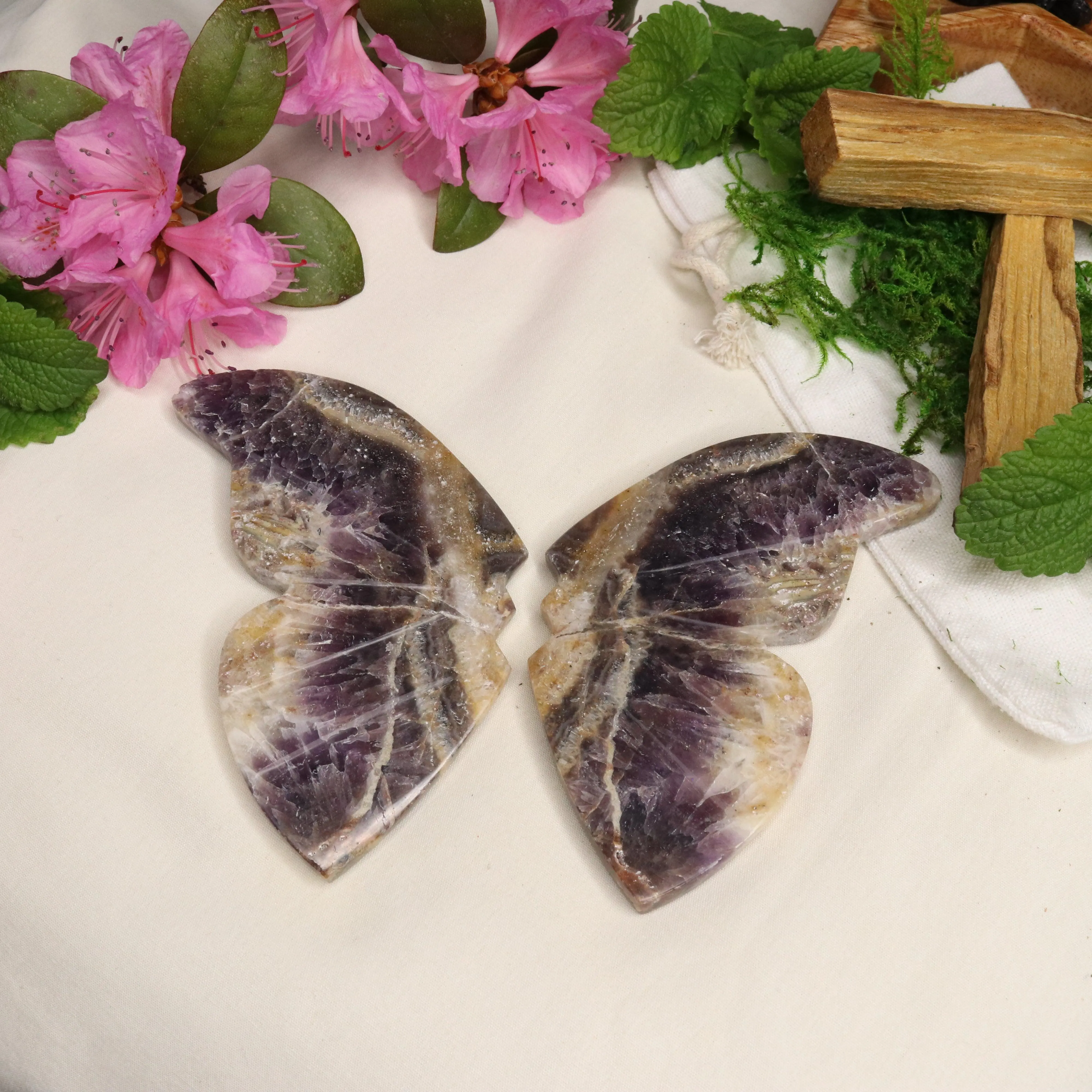 Chevron Amethyst Butterfly Wing Carvings ~ Positive