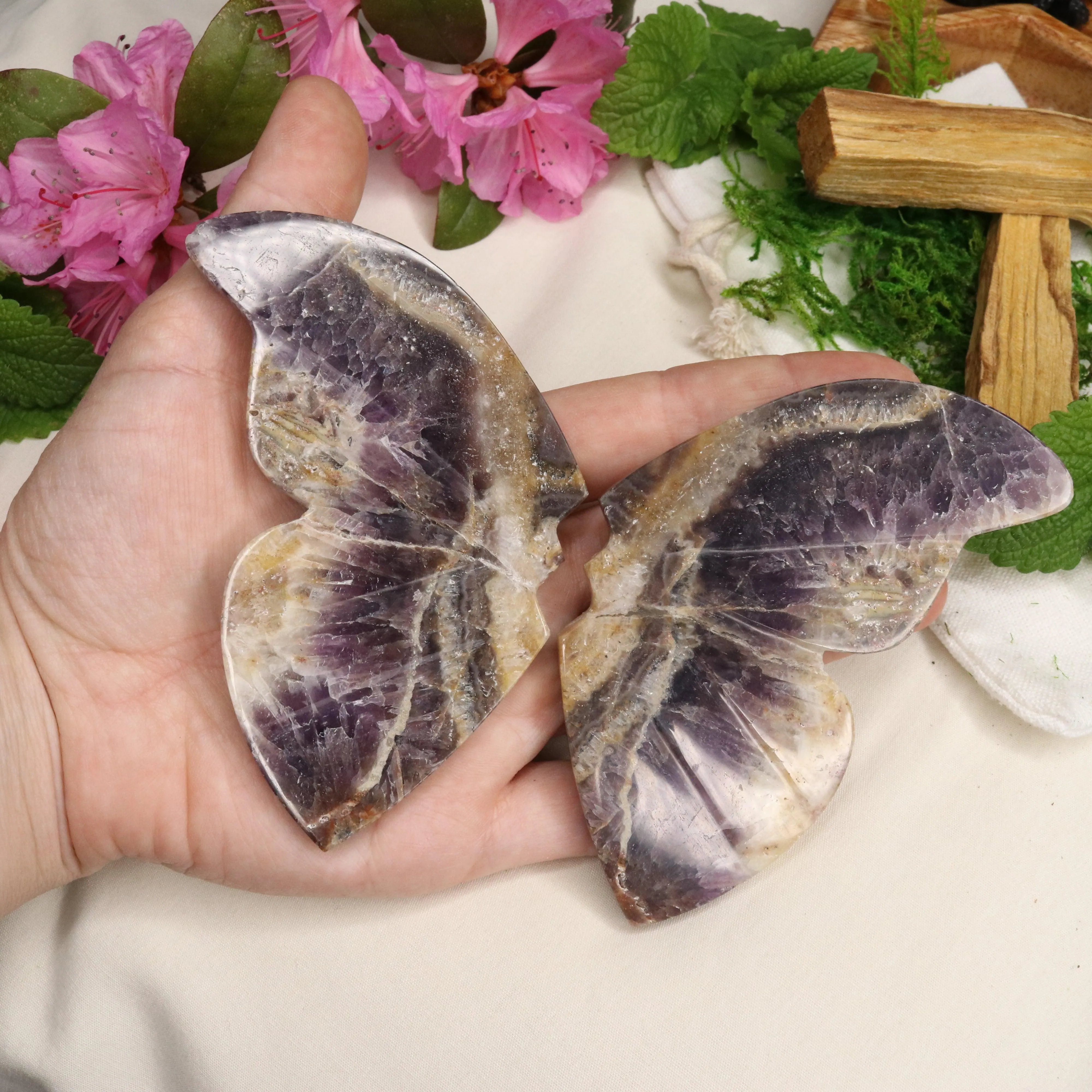 Chevron Amethyst Butterfly Wing Carvings ~ Positive