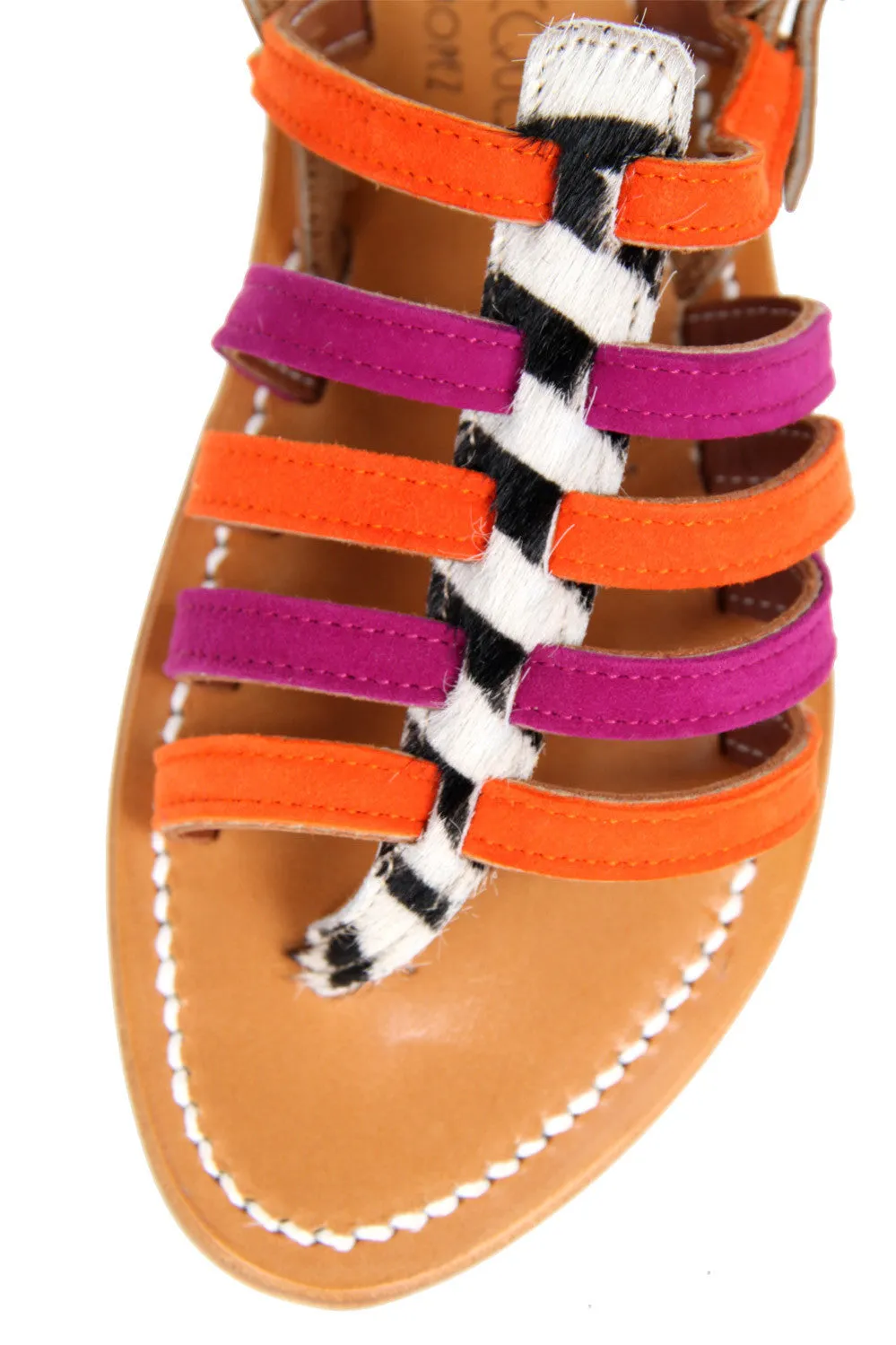 Homere Zebra, Orange/Pink