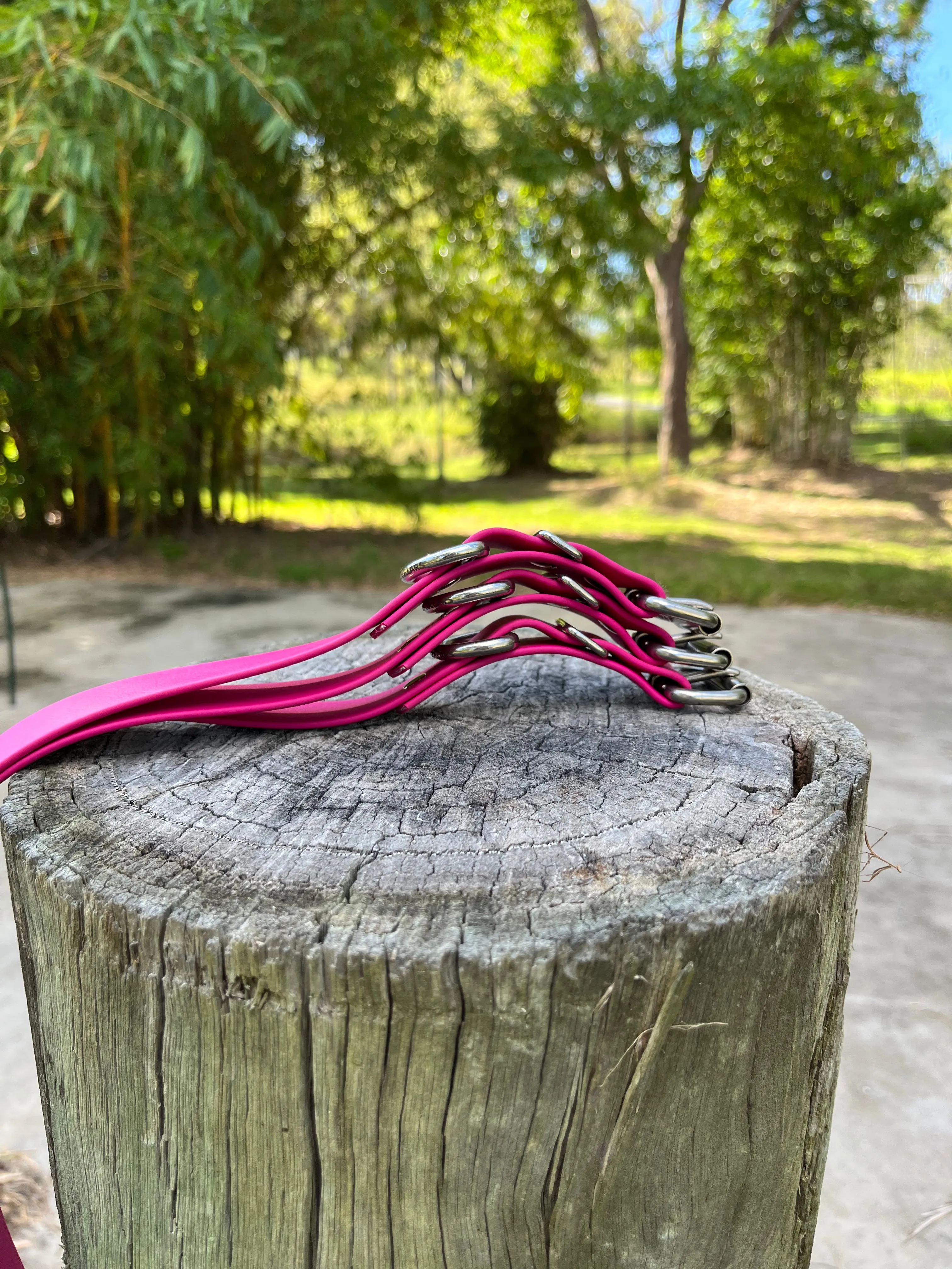 Magenta Dog Collar