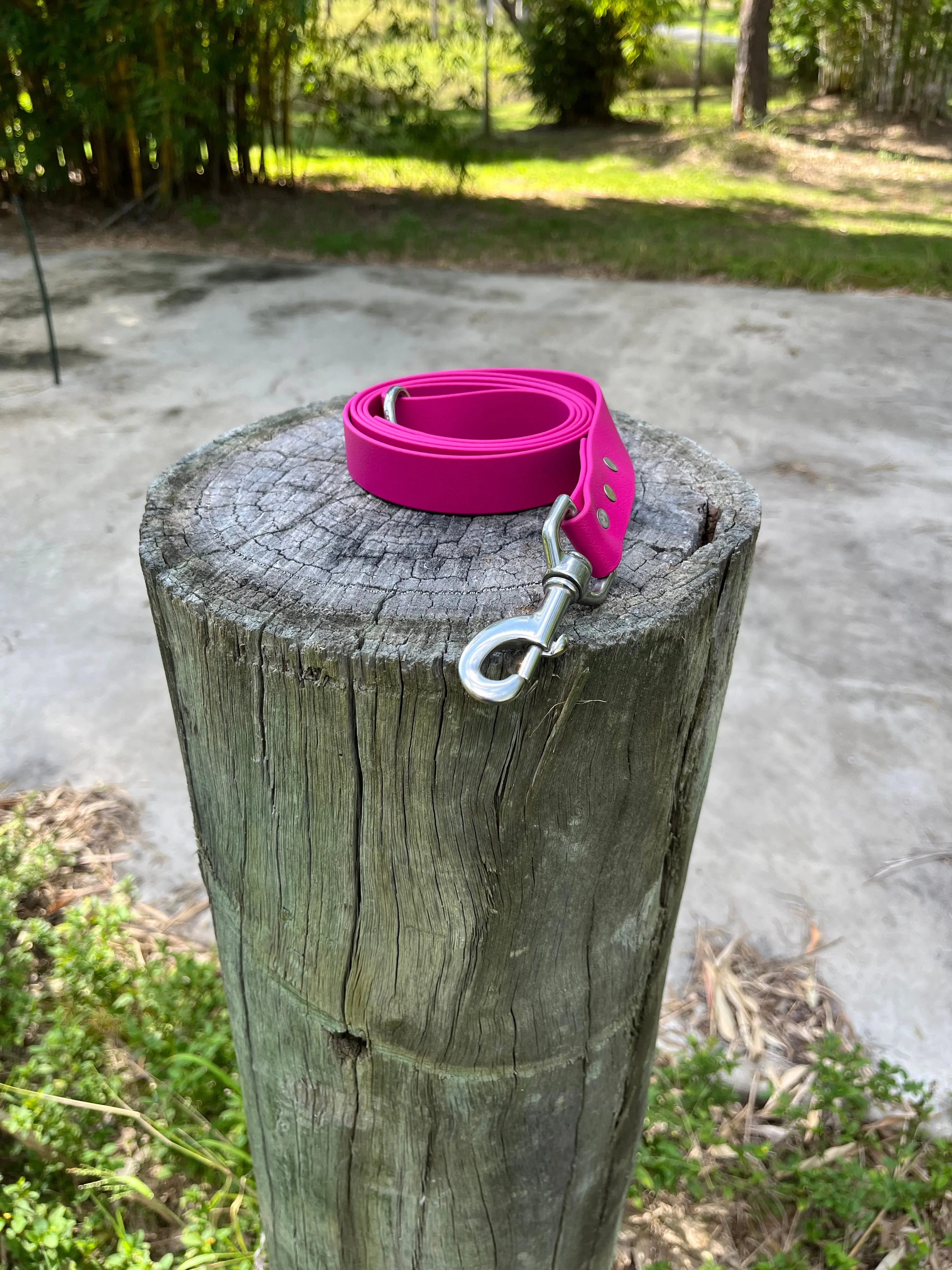 Magenta Dog Collar