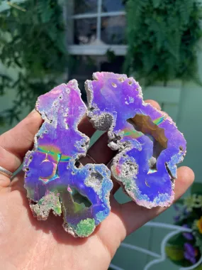 Rare Aura Coral Pair no.2